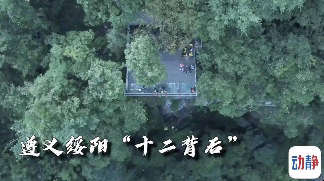 奇妙香蕉之旅